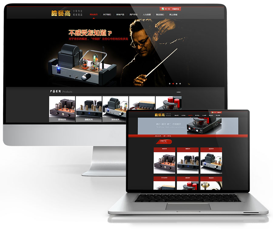 黑眼睛廣告為膽藝高音響器材有限公司官網設計的首頁和產品列表頁